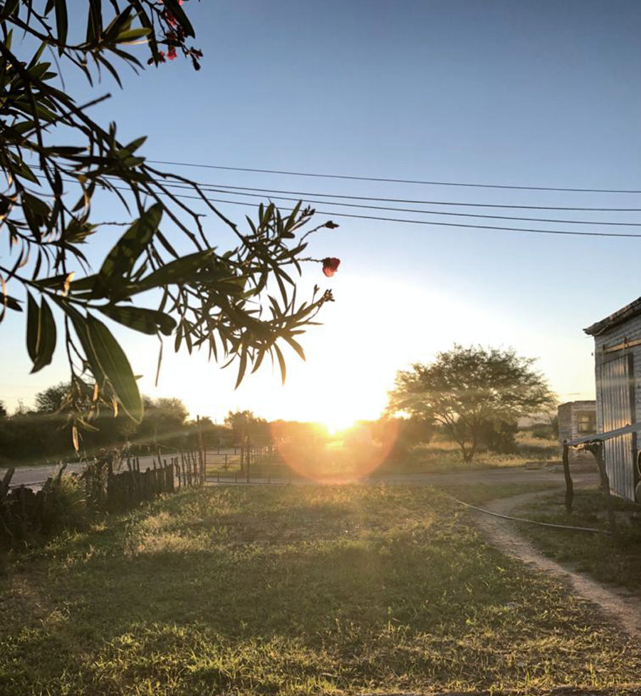 Terra Sana somos orgánicos