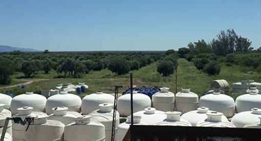 nuestra finca